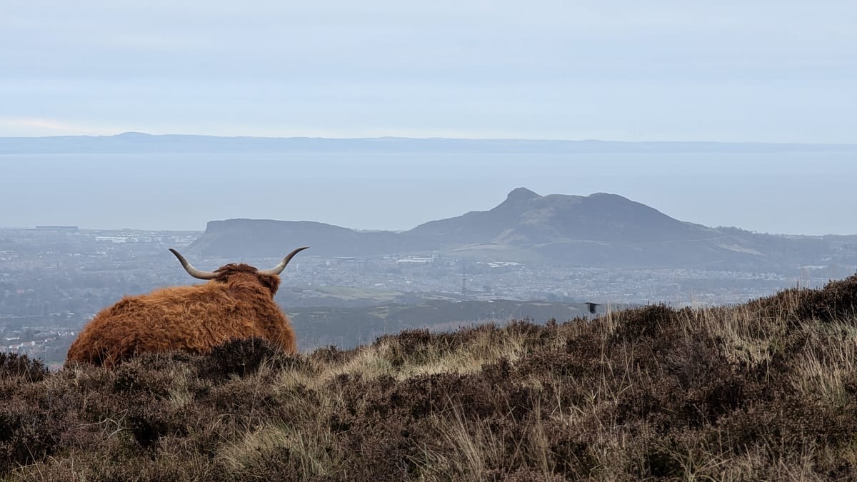 The Edinburgh Minute ⏰ Wednesday 31 December 2025