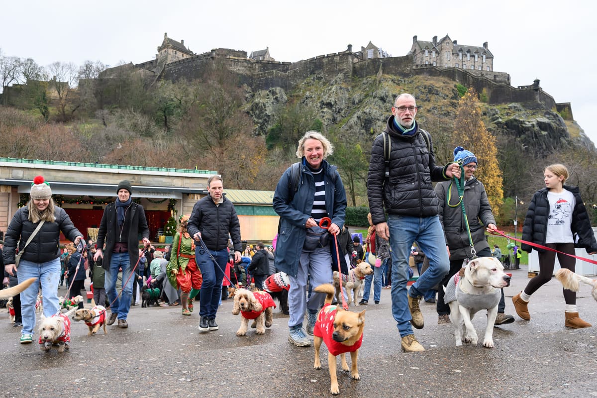 People walking dogs with a castle in the background. 