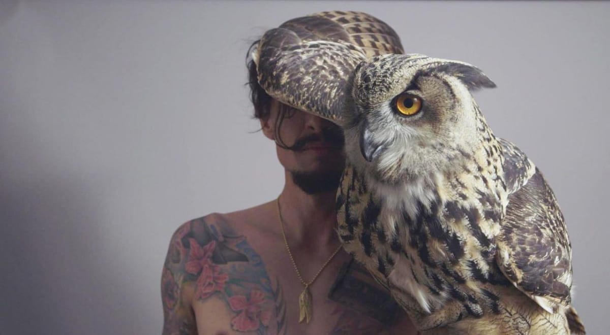 Edinburgh Culture Minute 🪩 7 - 13 January 2026