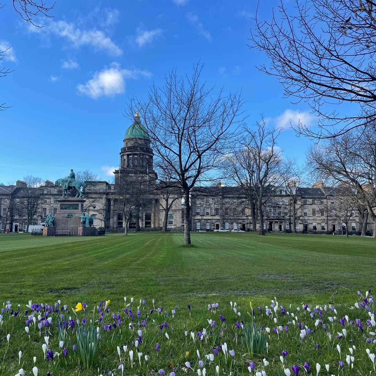 A grassy city square with flowers in the foreground and buildings in the background. 