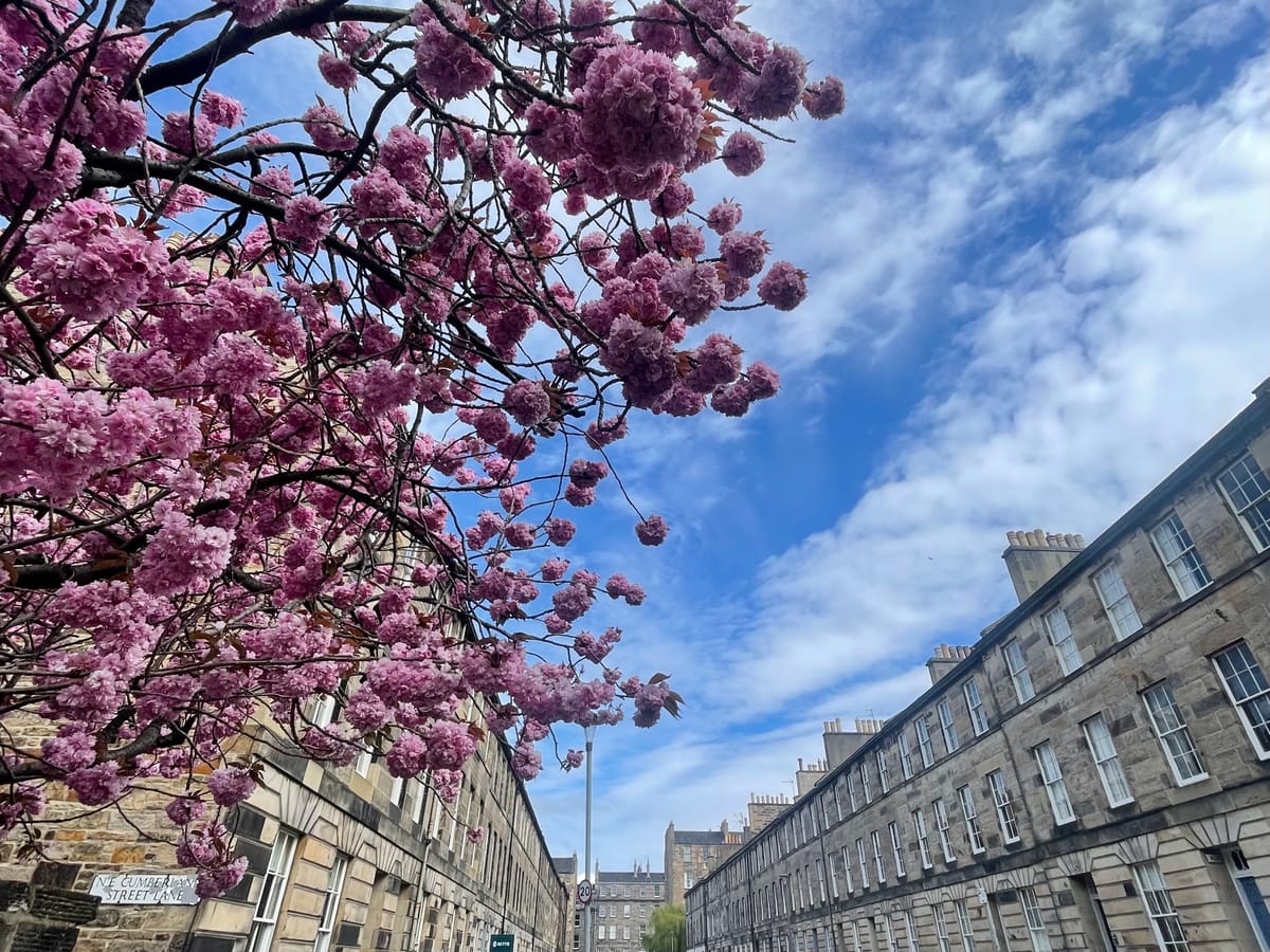The Edinburgh Minute ⏰ Wednesday 1 April 2026