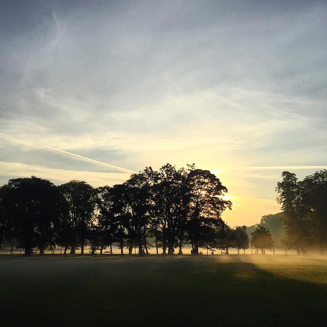 The Edinburgh Minute ⏰ Weekend edition 15 - 17 November 2024