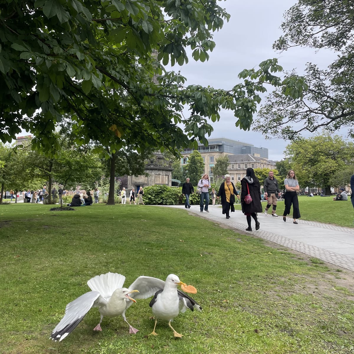 The Edinburgh Minute ⏰: Thursday 10 August 2023