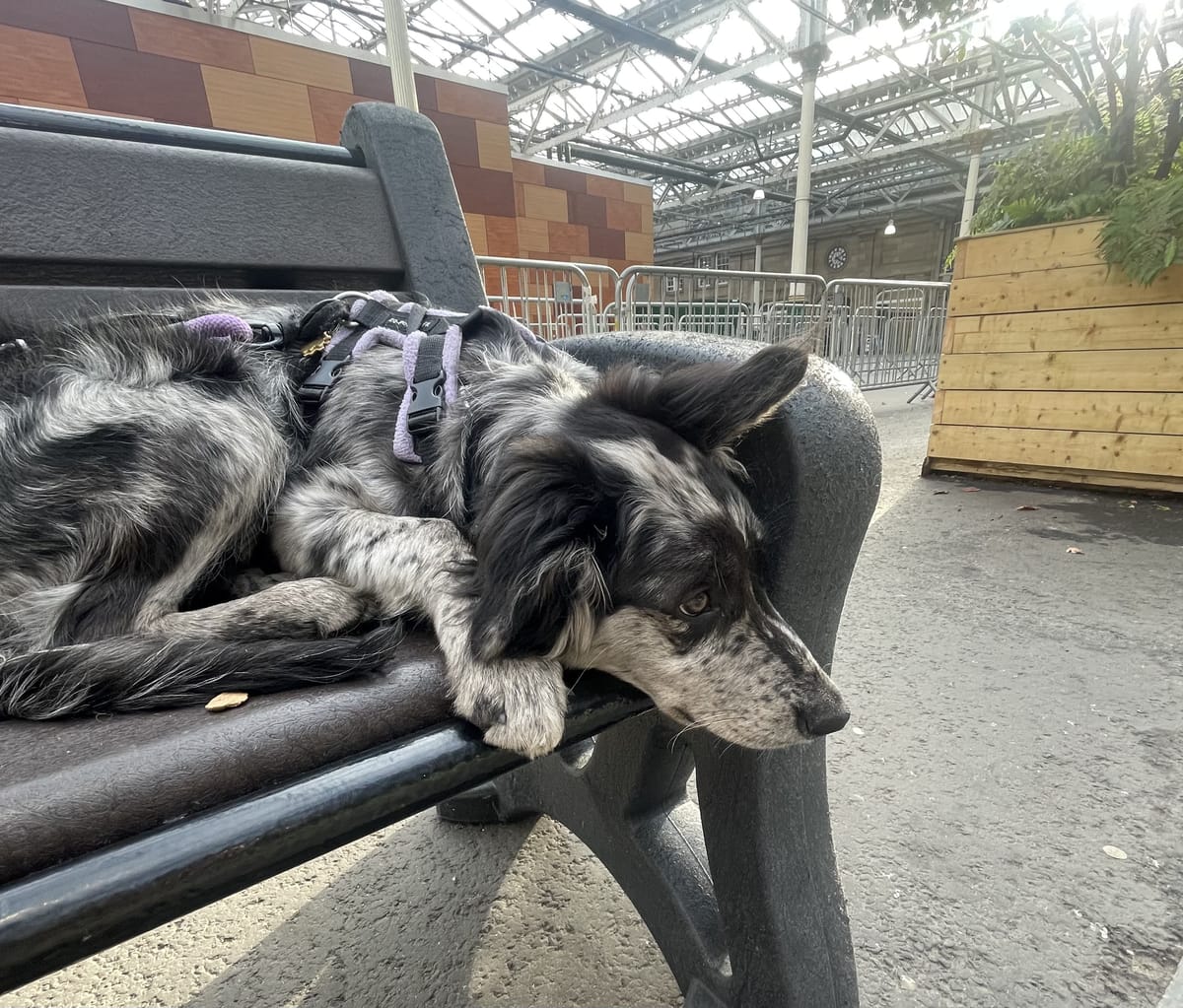 Taking a minute to recharge