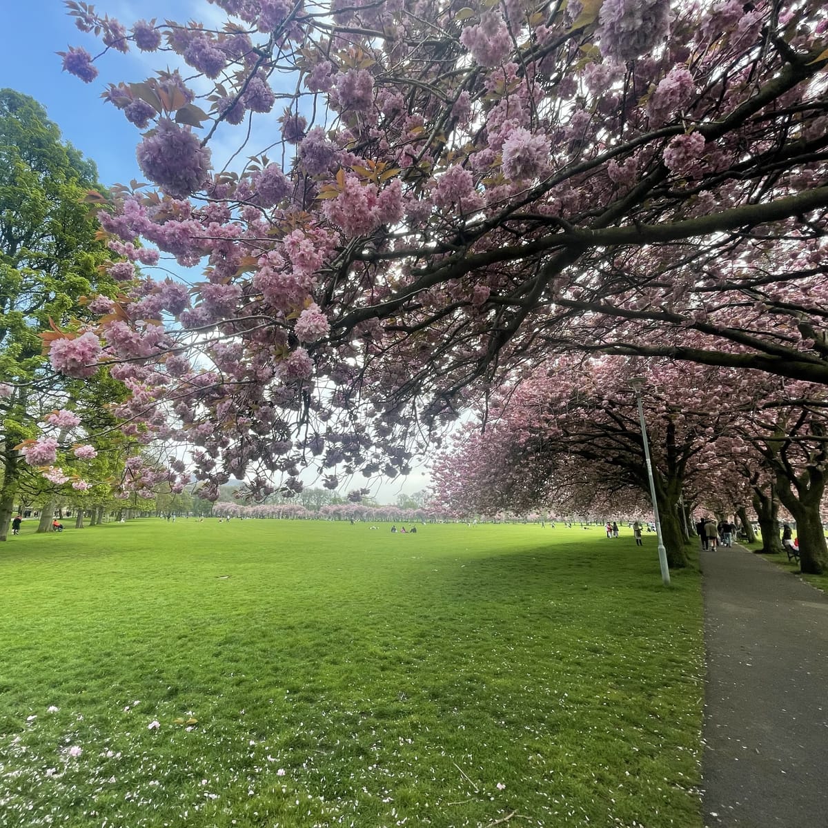 The Edinburgh Minute ⏰: Thursday 18 April 2024