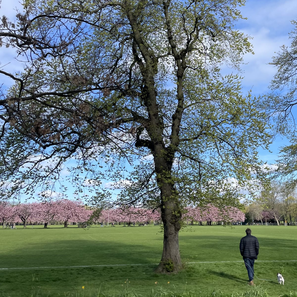 The Edinburgh Minute ⏰ Weekend edition 18 - 20 April 2025