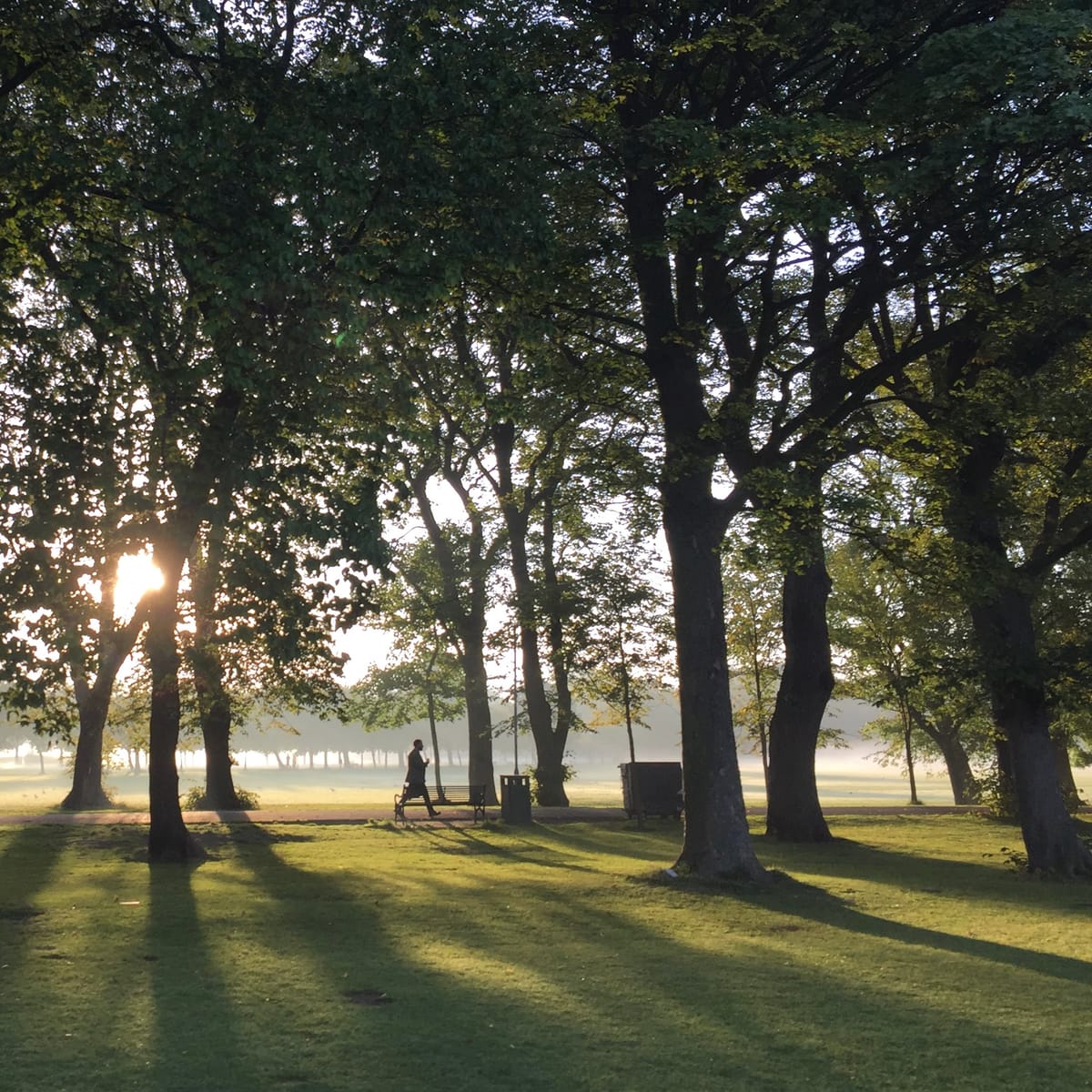 The Edinburgh Minute ⏰ Weekend edition 28 Feb - 2 March 2025
