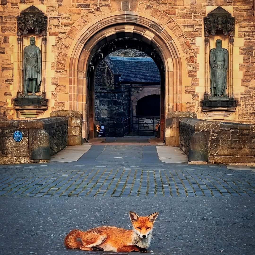 The Edinburgh Minute ⏰: Tuesday 15 August 2023