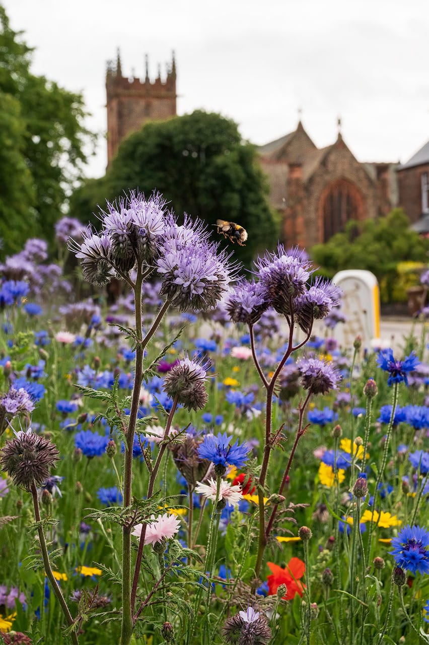 The Edinburgh Minute ⏰ Monday 30 June 2025