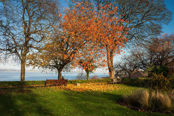 A person sitting on a bench in a park overlooking a river. 