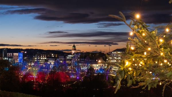 A city skyline at dusk, with the branches of a tree in the foreground.