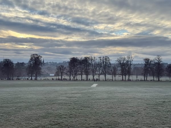 People running through a park. Frosty grass in the foreground, people running between trees in the middle of the park and a cloudy sky above a city skyline. 
