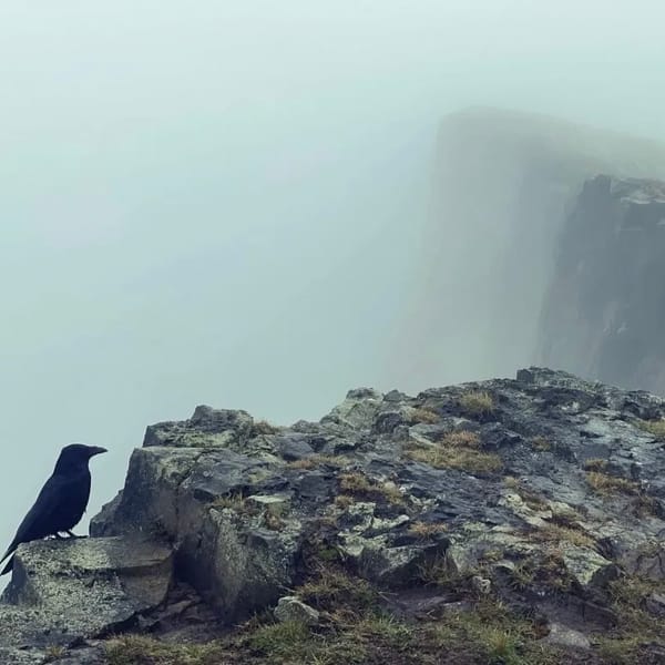 The Edinburgh Minute ⏰: Thursday 4 April 2024