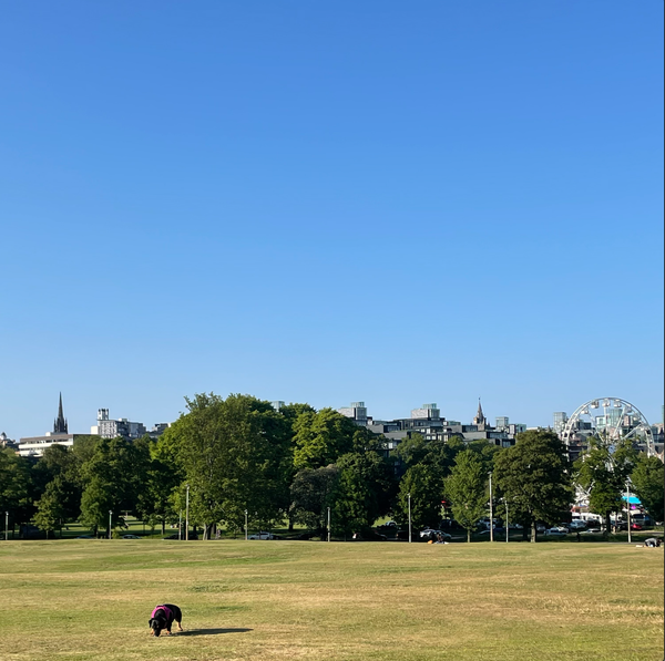 The Edinburgh Minute ⏰: Monday 5 June 2023