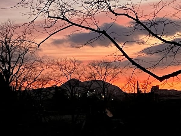 The Edinburgh Minute ⏰ Monday 20 January 2025