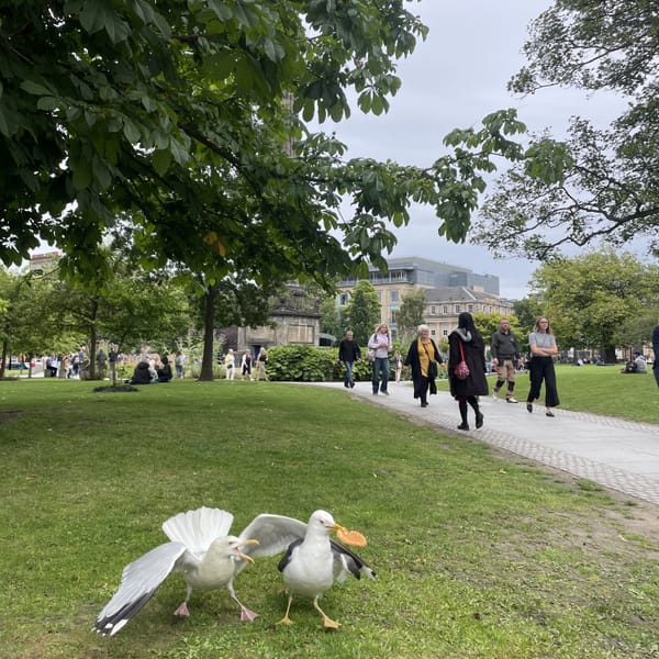 The Edinburgh Minute ⏰: Thursday 10 August 2023