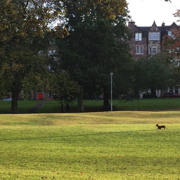 The Edinburgh Minute ⏰: Thursday 28 March 2024