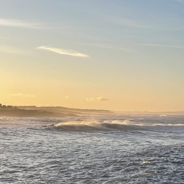 The Edinburgh Minute ⏰: Monday 23 October 2023