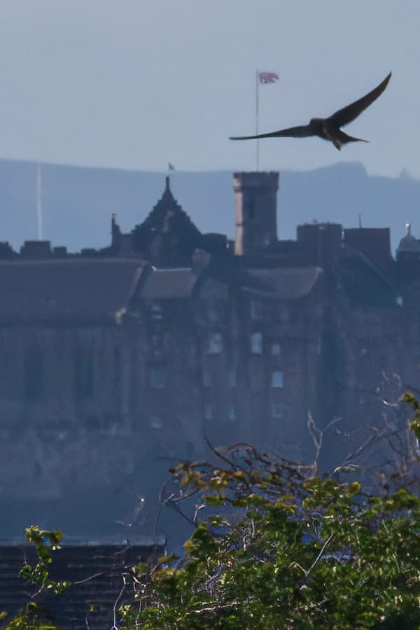 The Edinburgh Minute ⏰ Tuesday 1 July 2025