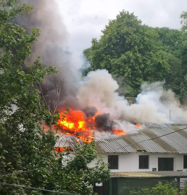 The Edinburgh Minute ⏰ Thursday 25 July 2024