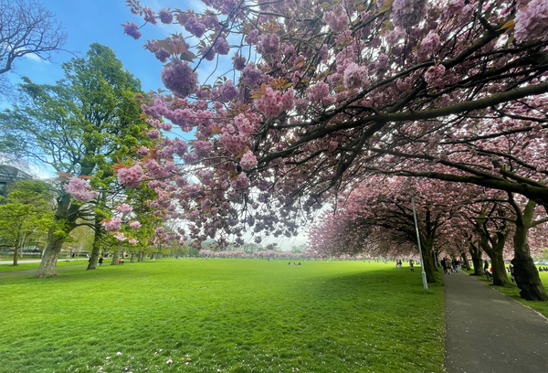 The Edinburgh Minute ⏰: Tuesday 9 May 2023