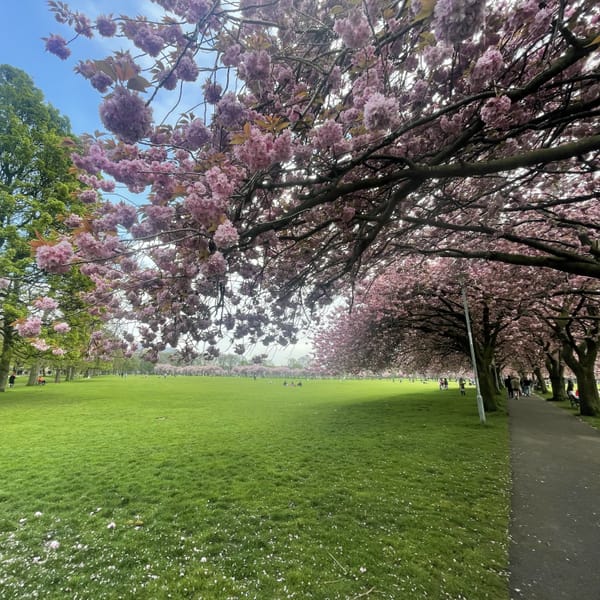 The Edinburgh Minute ⏰: Thursday 18 April 2024