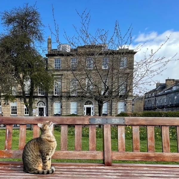 The Edinburgh Minute ⏰ Monday 24 February 2025