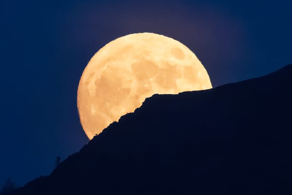 The Edinburgh Minute ⏰ Monday 12 May 2025