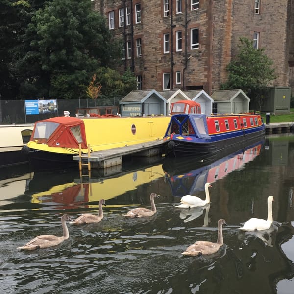 Keep the kids busy with this new Edinburgh Substack