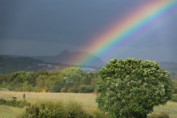 The Edinburgh Minute ⏰ Thursday 5 June 2025