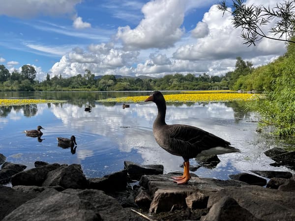 The Edinburgh Minute ⏰ Wednesday 23 July 2025